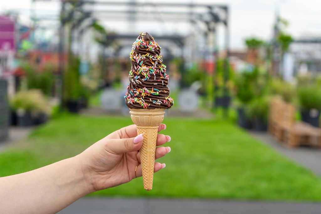 Strefa Food Portu znajduje się tuż za mostem łączącym Łasztownię z Wyspą Grodzką.