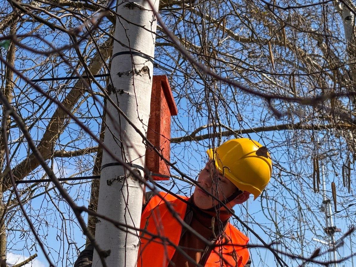 „Ptasia Kawalerka” – tak nazywa się projekt, do którego dołączyła nasza przystań, „Ptasia Kawalerka” – tak nazywa się projekt, do którego dołączyła nasza przystań,