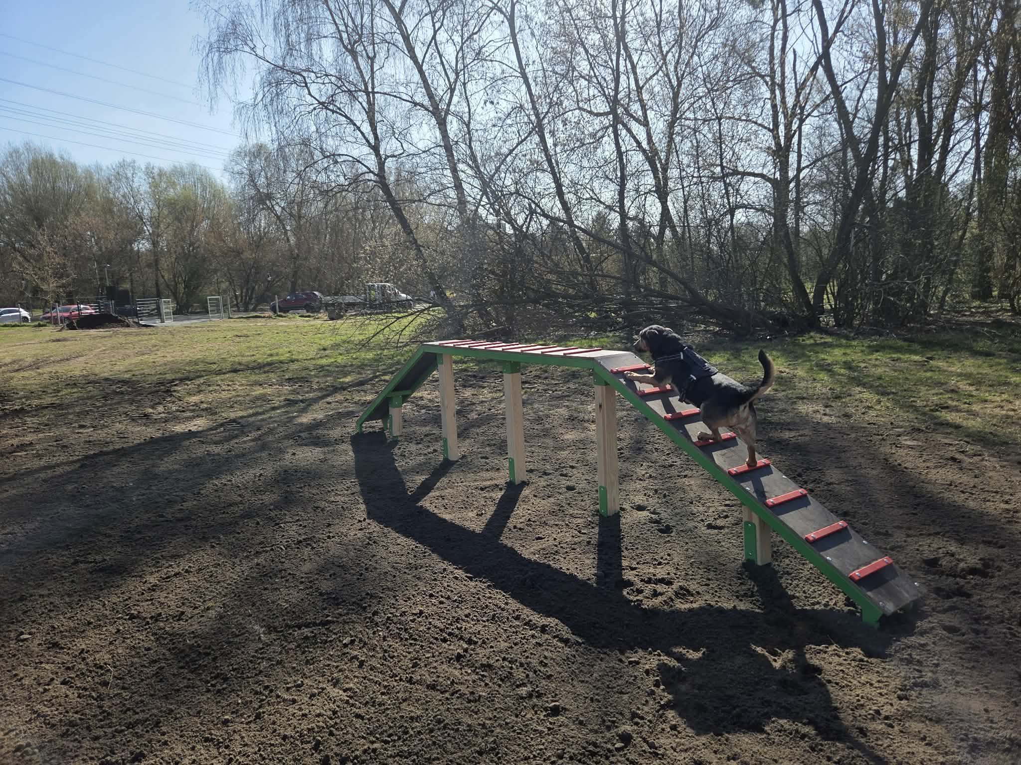 Dwa leśne wybiegi dla psów zostały wyposażone w nowe urządzenia .
