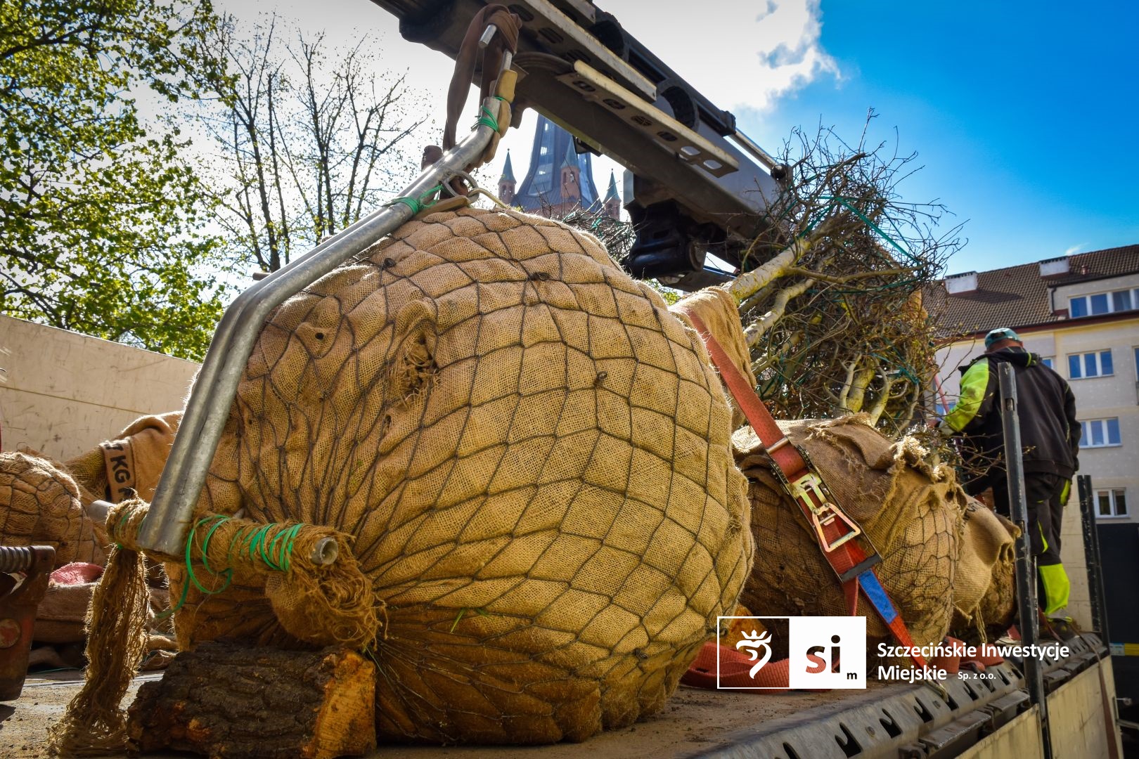 Plac Orła Białego się zazielenia.