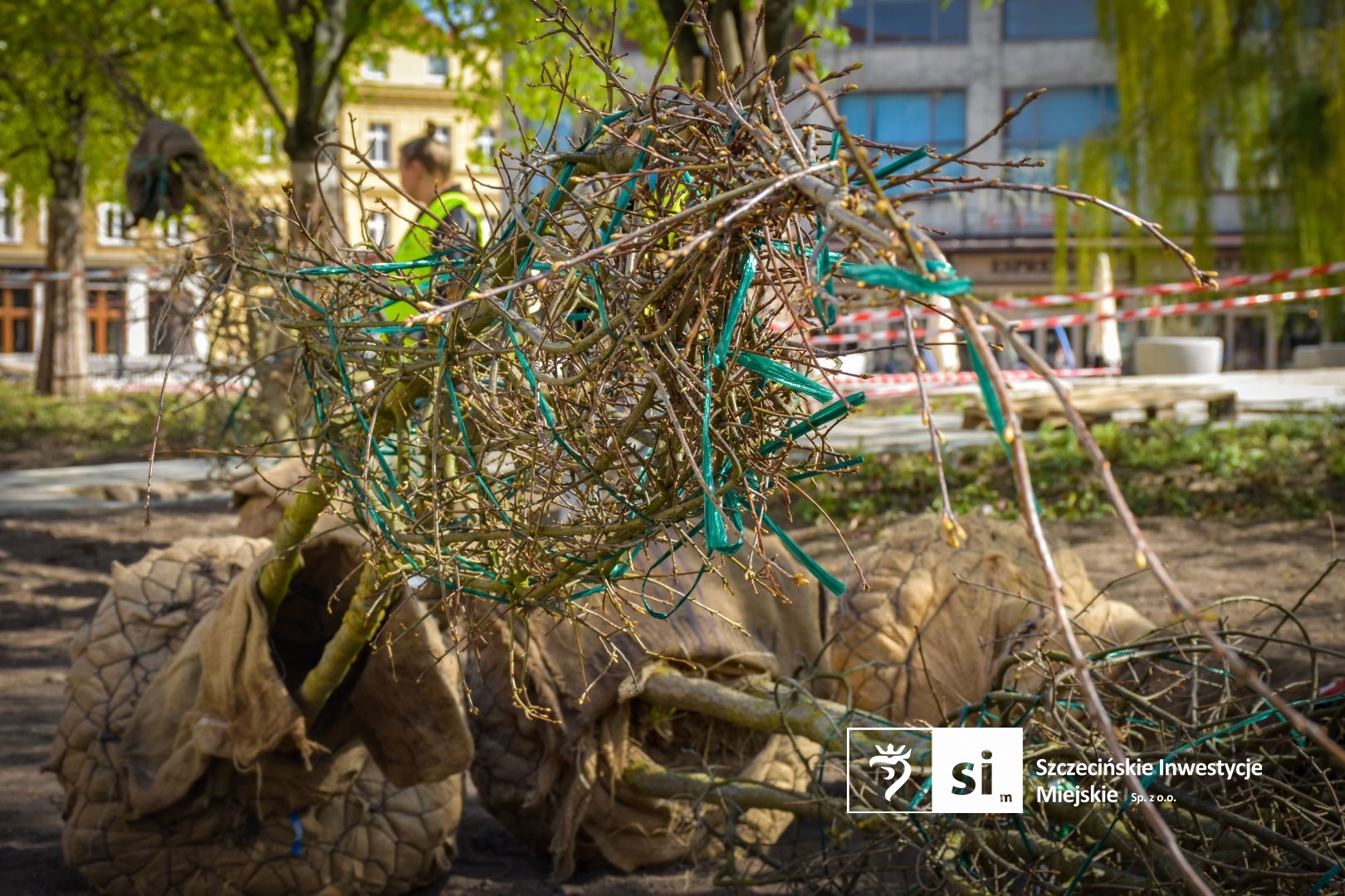 Plac Orła Białego się zazielenia.