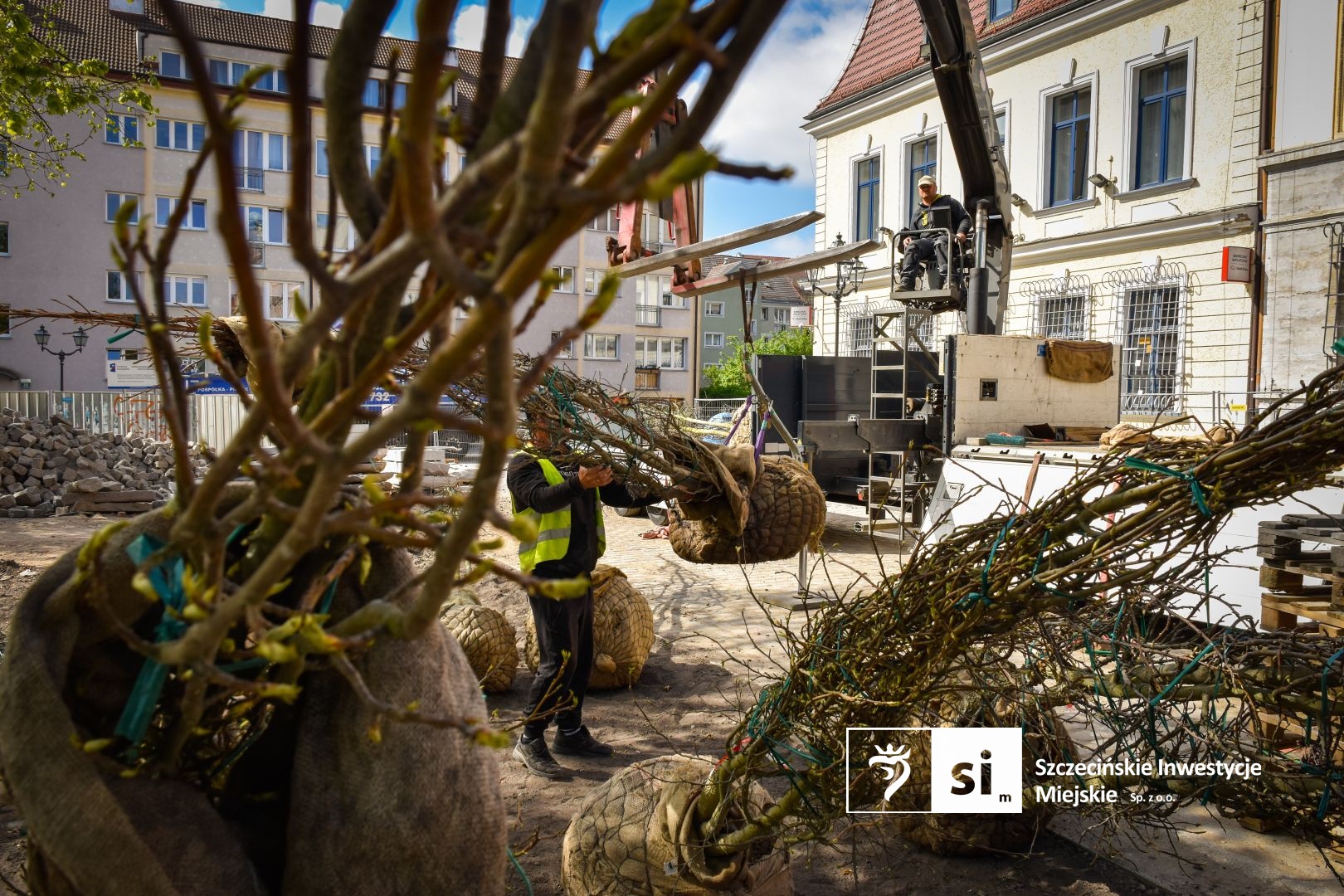 Plac Orła Białego się zazielenia.