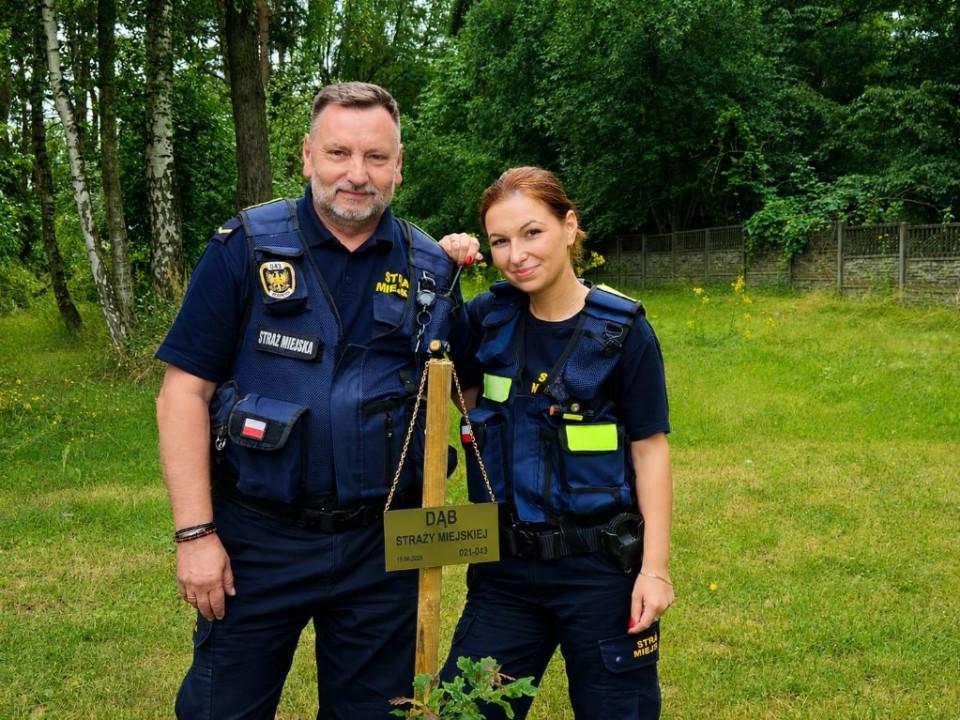 Sadzenie drzew przez strażników miejskich Sadzenie drzew przez strażników miejskich