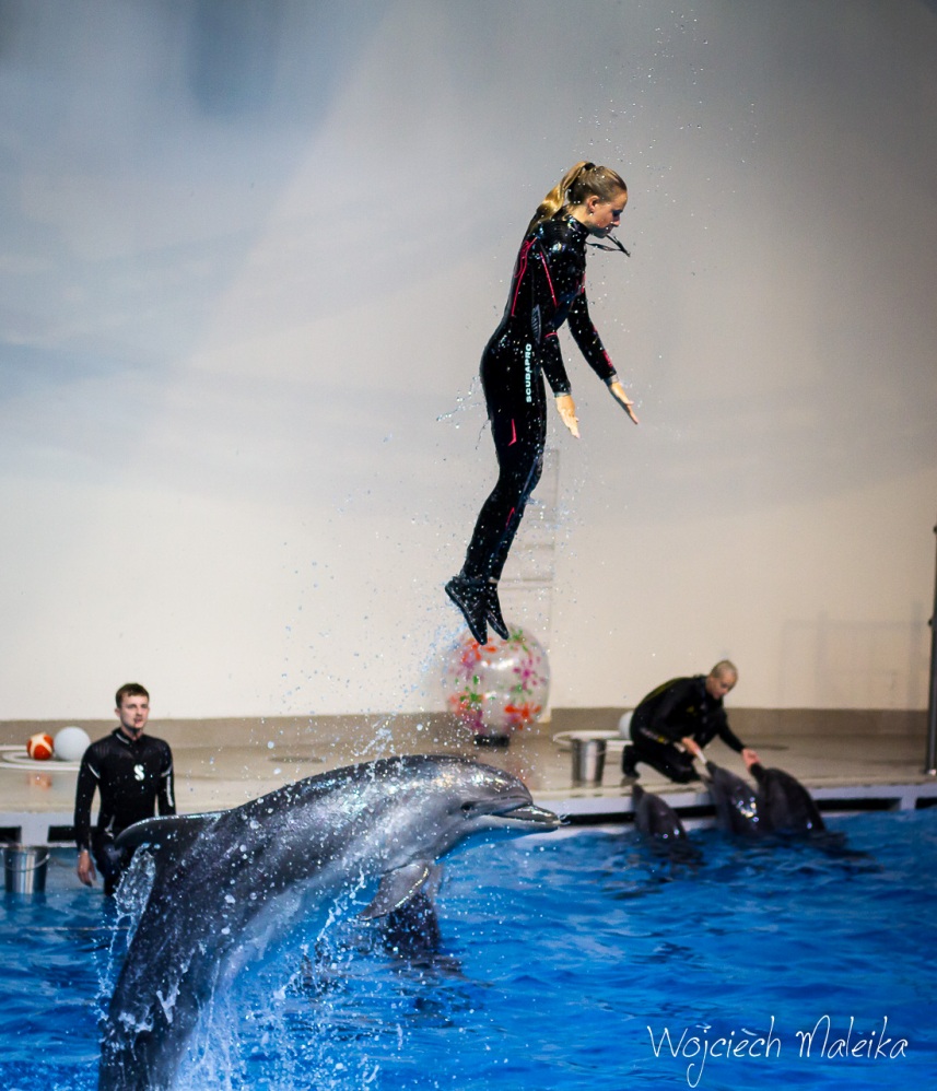 20180627-145921.jpg 20180627-145921.jpg