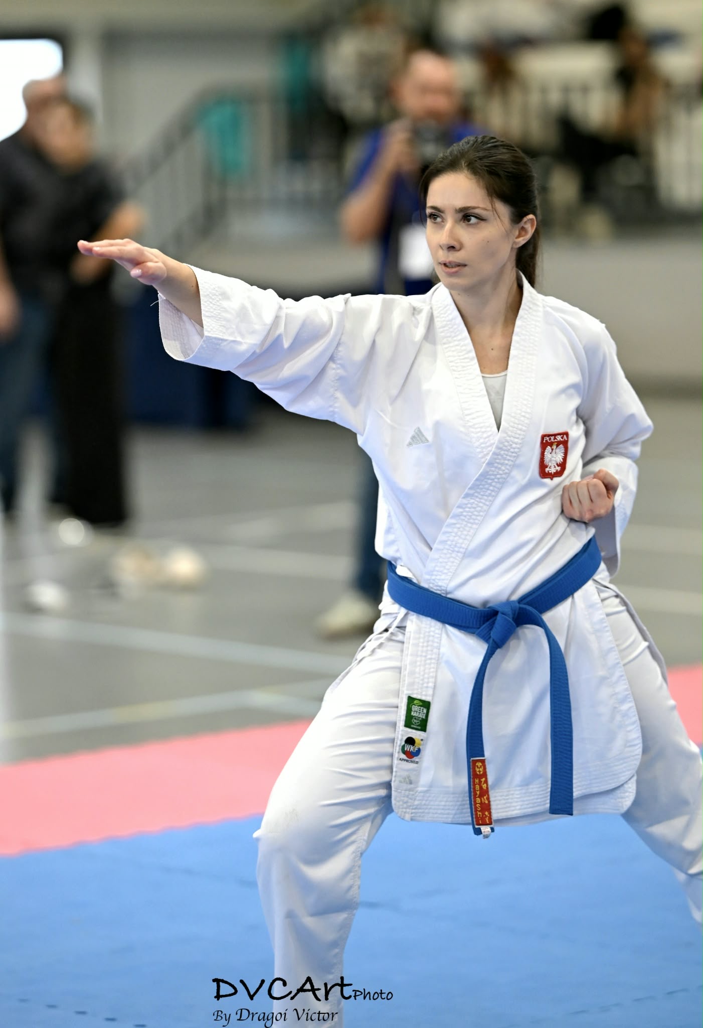 Październik 2026 roku był absolutnie rekordowym miesiącem pod względem startowym dla zawodników szczecińskiego Klubu Karate Bushikan. Październik 2026 roku był absolutnie rekordowym miesiącem pod względem startowym dla zawodników szczecińskiego Klubu Karate Bushikan.