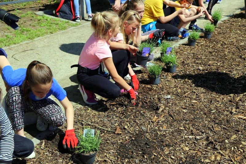 fot. Katarzyna Plater-Zyberk (2)_800x533.jpg