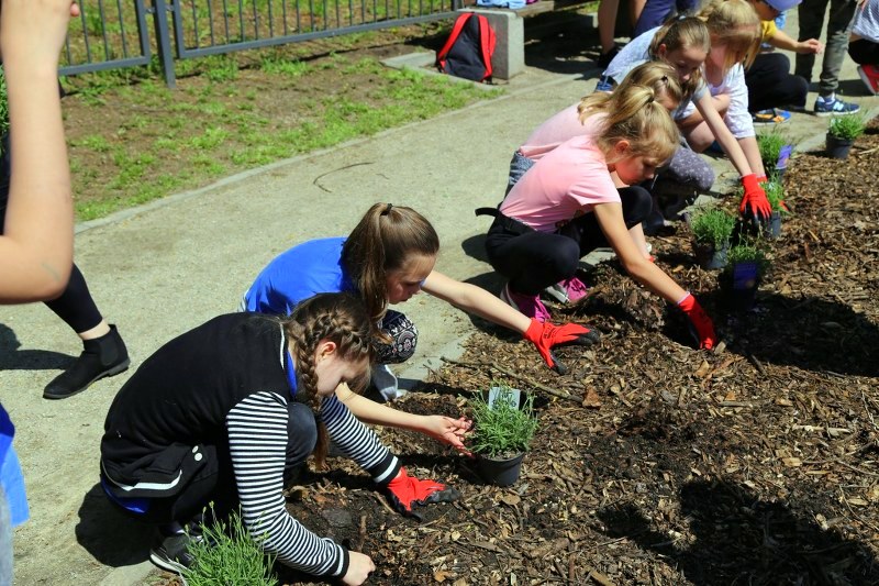 fot. Katarzyna Plater-Zyberk (6)_800x533.jpg