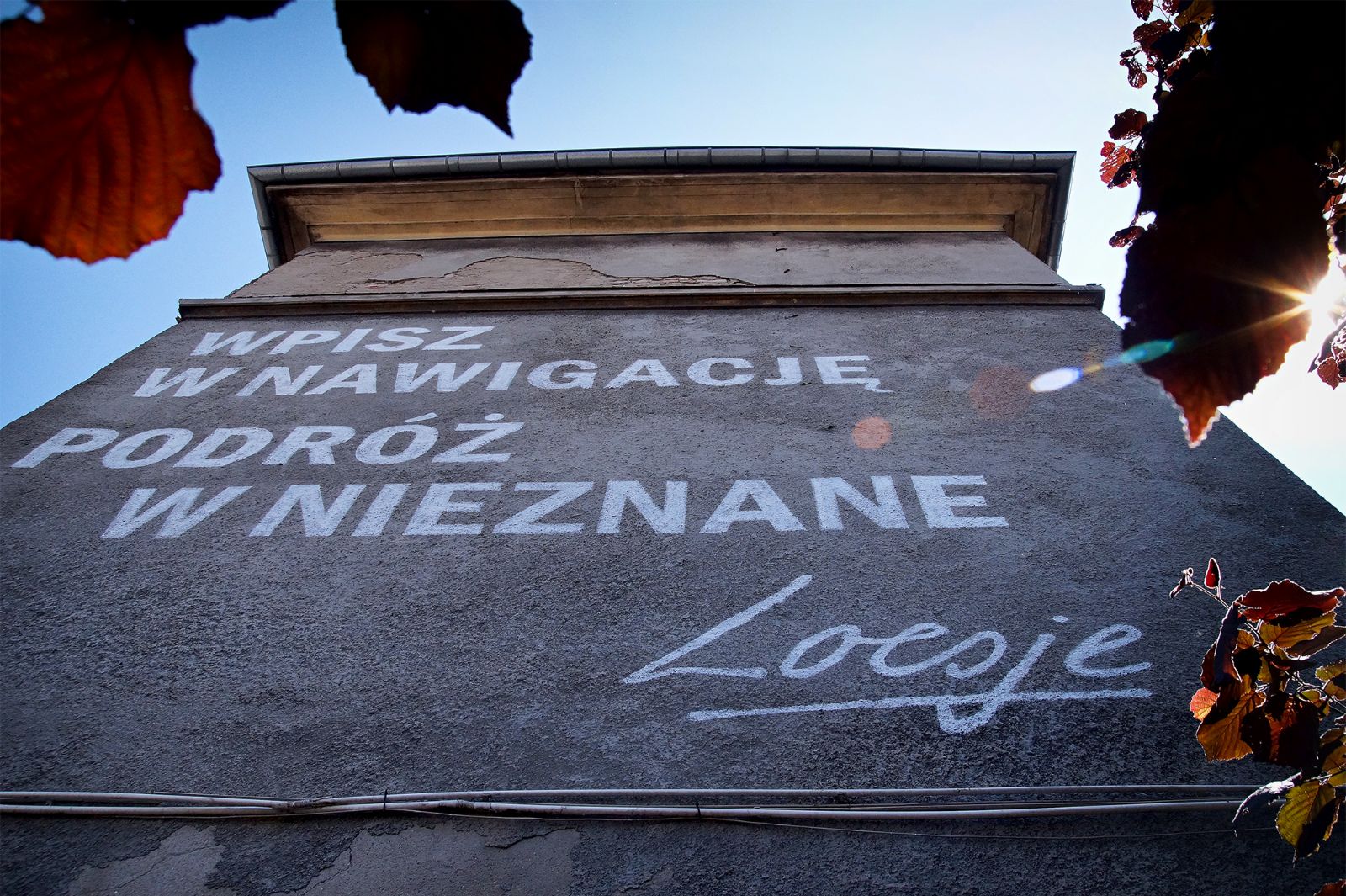 loesje-szczecin-1.jpg