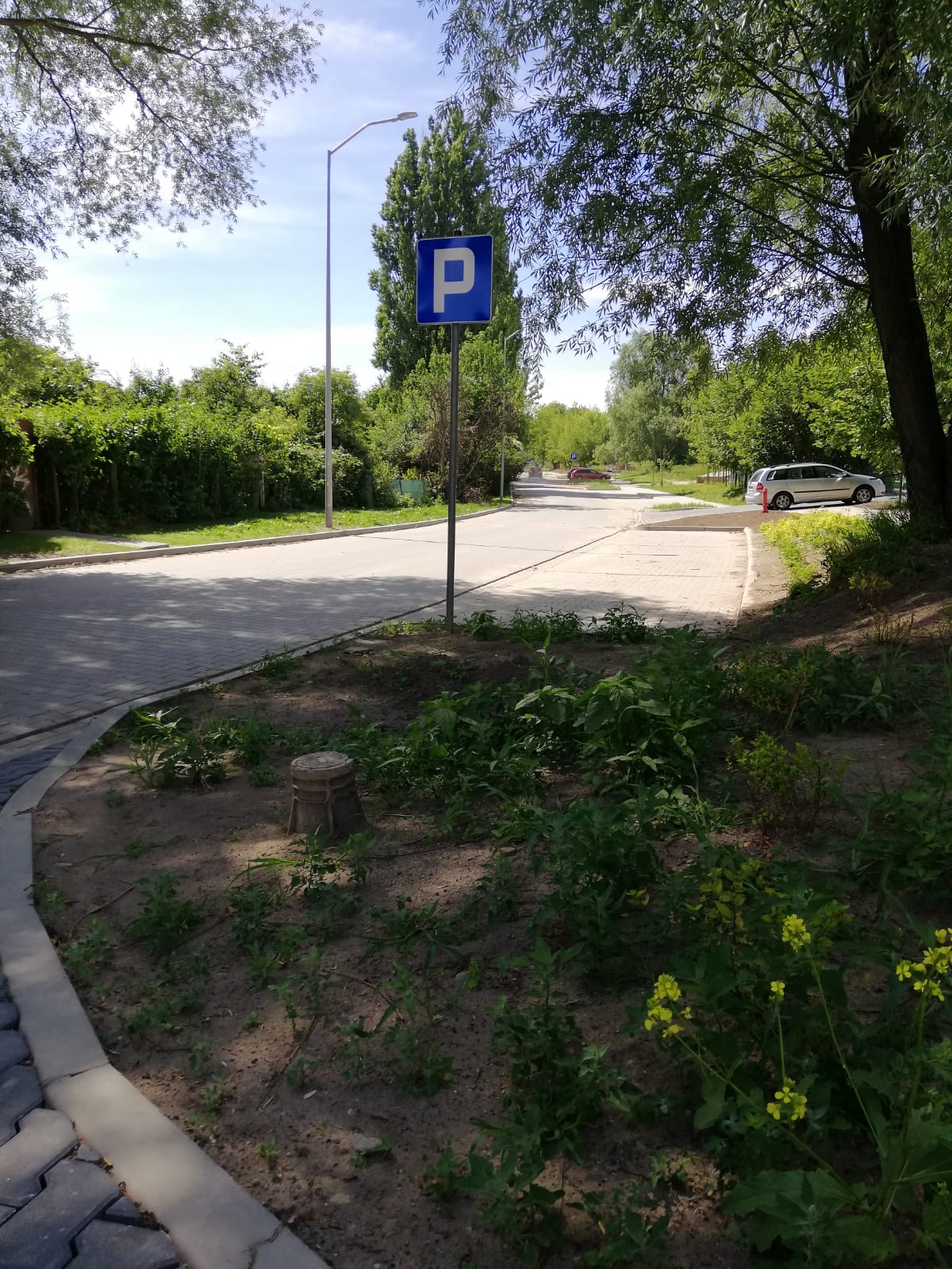 IMG-20190625-WA0011.jpg