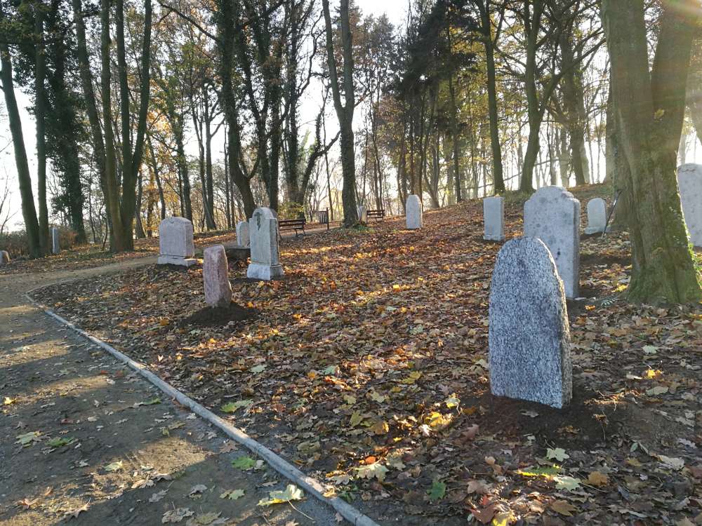 Niezwykłe znalezisko przy remoncie parku