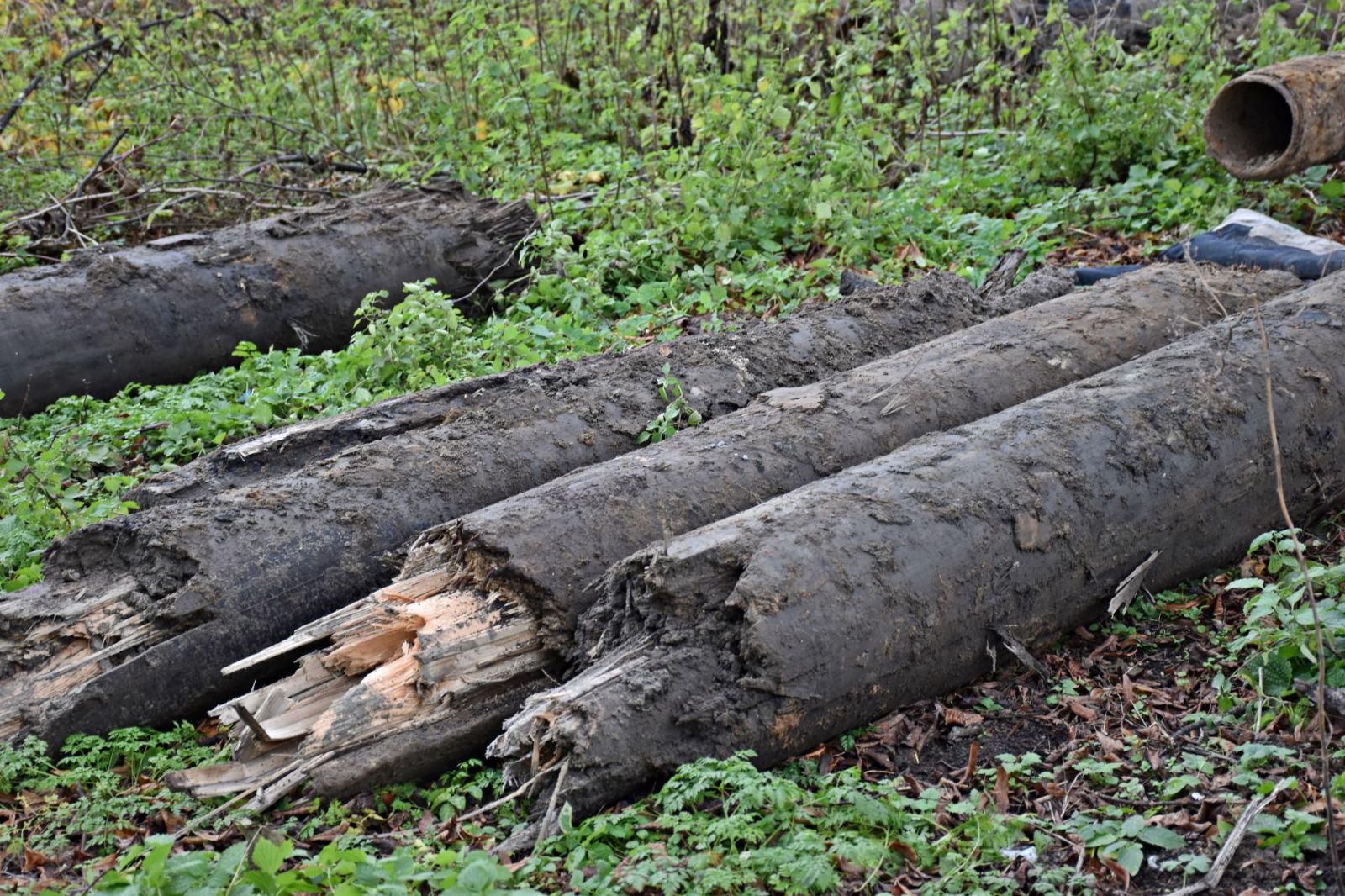 Fabryka Wody (11).JPG