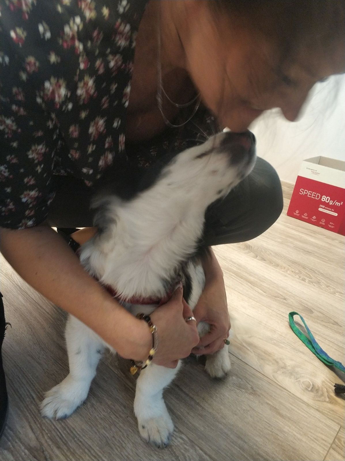 Fido_1.jpg