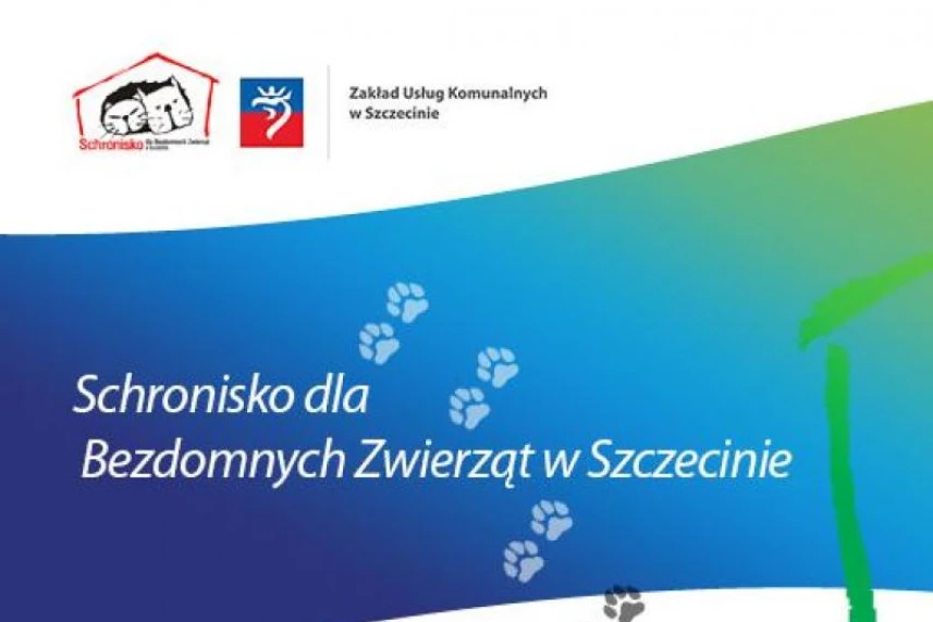 Kolejne zmiany w funkcjonowaniu schroniska dla zwierząt