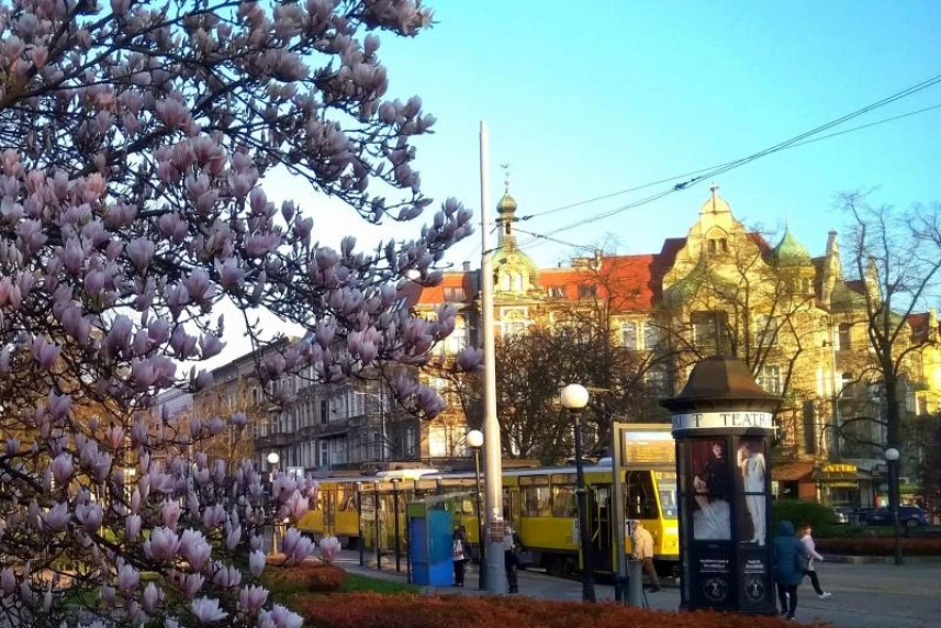 Zmiany w komunikacji tramwajowej