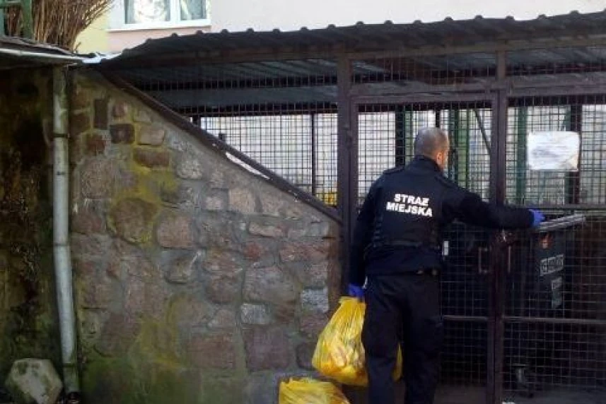 Kulisy epidemii: czym zajmują się strażnicy miejscy?