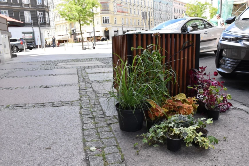 Chodniki dla pieszych na Rayskiego