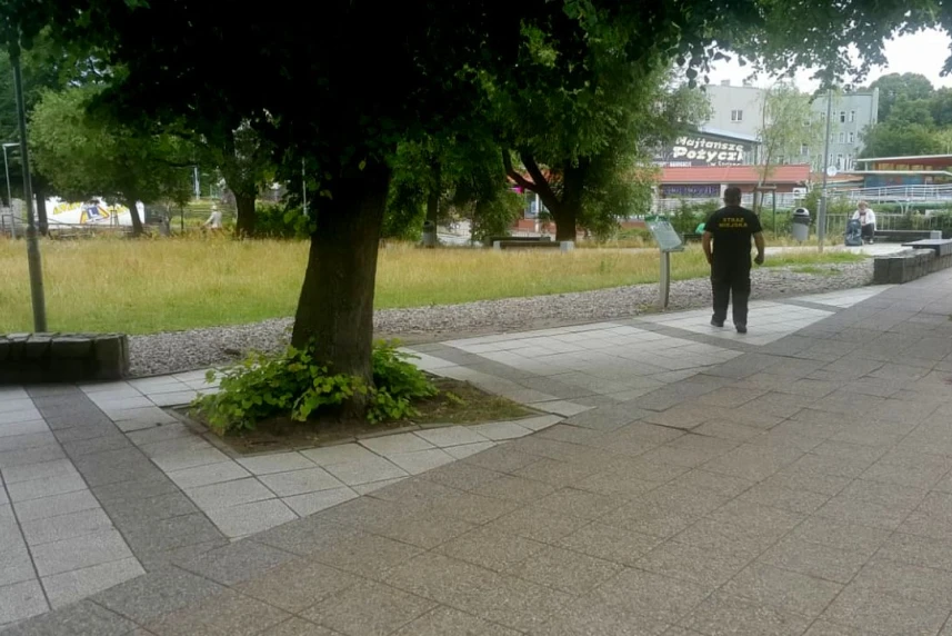 Uporządkowany skwer Wallenberga Uporządkowany skwer Wallenberga