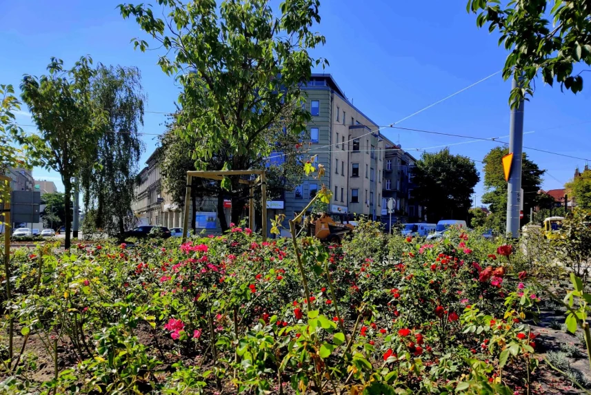 Plac Szarych Szeregów – po przebudowie – to zupełnie inne miejsce. Plac Szarych Szeregów – po przebudowie – to zupełnie inne miejsce.