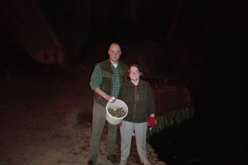 Żabi patrol również nocą