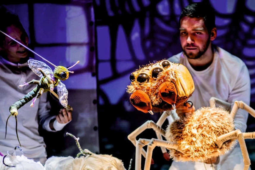 Teatr Układ Formalny - "W stronę słońca" Teatr Układ Formalny - "W stronę słońca"
