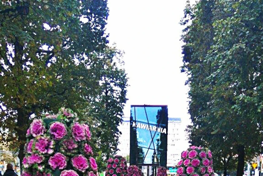 Nowe kompozycje w Alei Kwiatowej