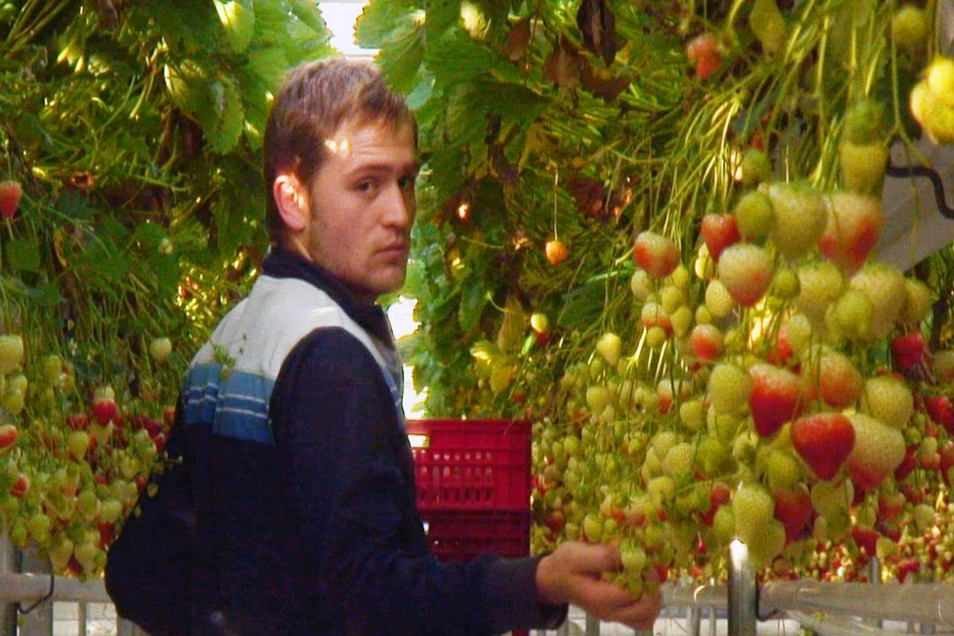 Die Sonne nie świeci tak jak Słońce Die Sonne nie świeci tak jak Słońce