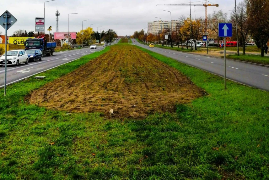Nowe łąki kwietne zajęły ponad 32 tysiące metrów kwadratowych. Nowe łąki kwietne zajęły ponad 32 tysiące metrów kwadratowych.