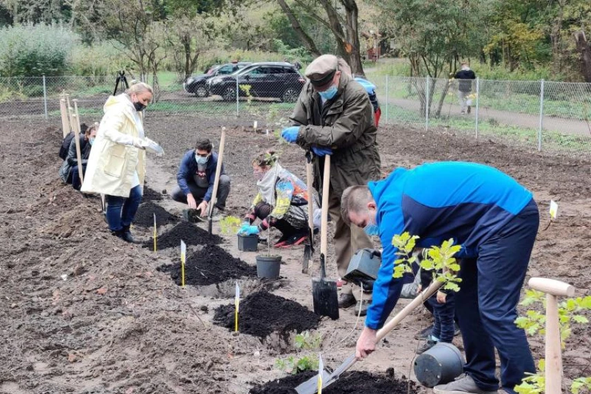 Na Syrenich Stawach posadzonych zostało 50 drzew, 25 kolejnych znajdzie się już wiosną w Parku Majowe. Na Syrenich Stawach posadzonych zostało 50 drzew, 25 kolejnych znajdzie się już wiosną w Parku Majowe.