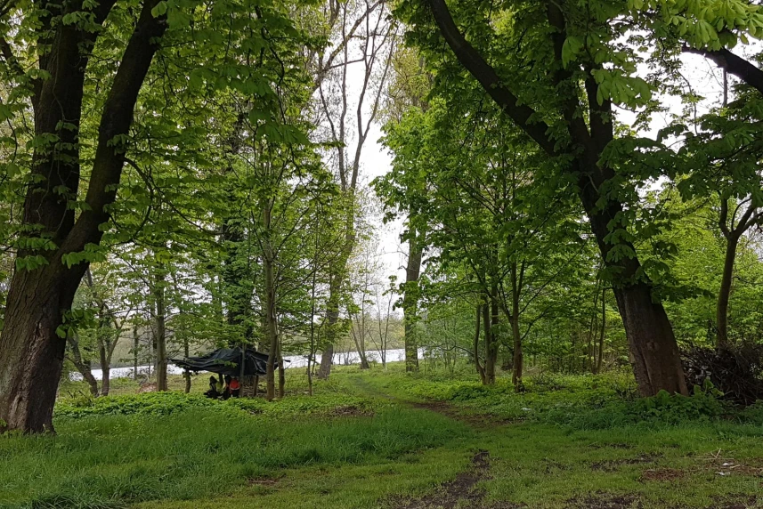 Powstaje kolejny park