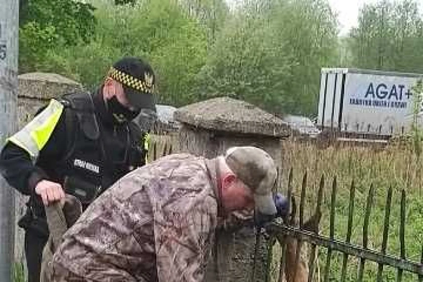 Straż Miejska: uratowali koziołka Straż Miejska: uratowali koziołka