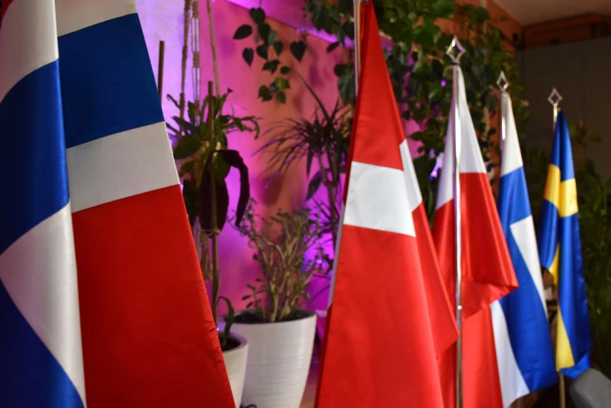 Bądź z nami na Dniach Skandynawskich