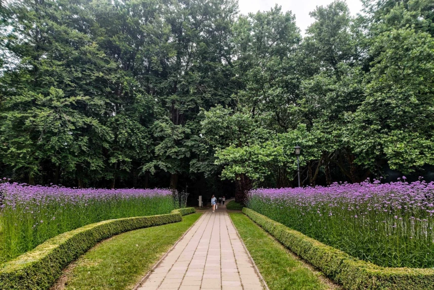 Tysiące zachwycających bylin