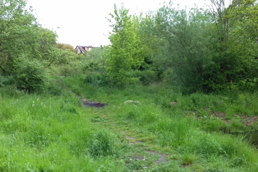 Nowy szlak dla spacerowiczów