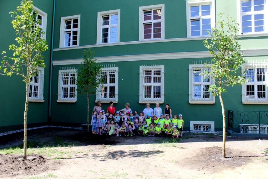 Kolejne nowe magnolie w Szczecinie