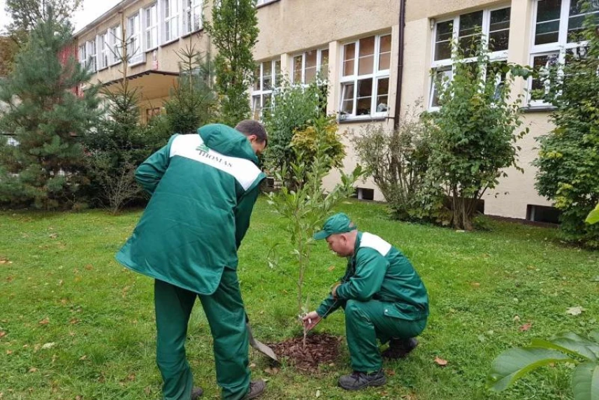 Są zamkowe magnolie, będzie jeszcze ogród