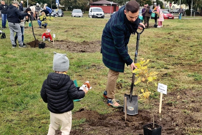 Park Majowe z kolejnymi drzewami