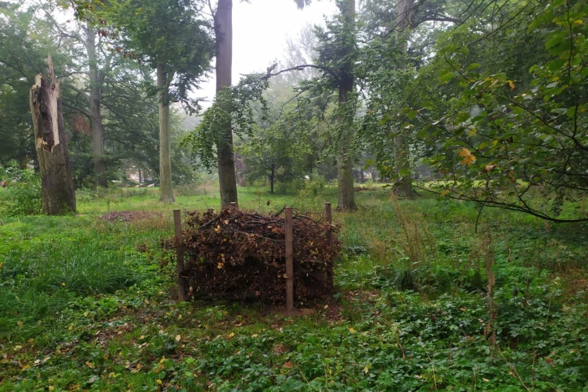 Shelters for hedgehogs are being built in Szczecin