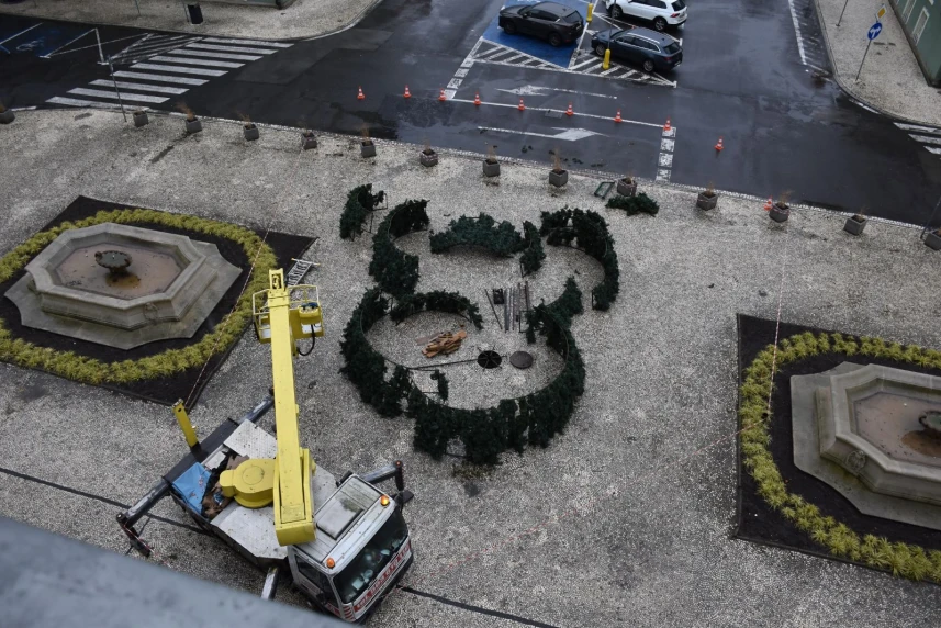Bożonarodzeniowe drzewko przed magistratem