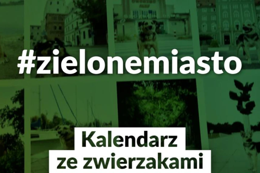 Календар з тваринками