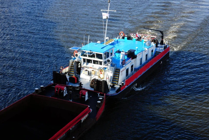 Bizon na zlocie żaglowców