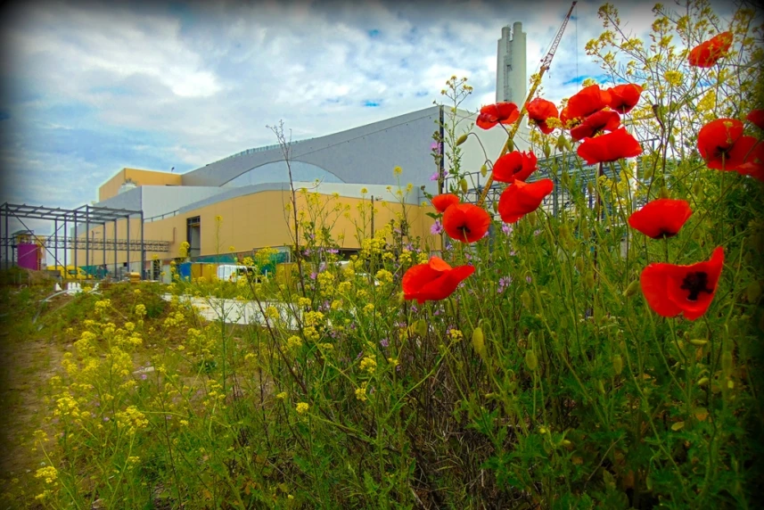 Czerwiec, maki, w tle EcoGenerator tuż przed rozruchem. Autorem zdjęcia jest Robert Lewandowski, specjalista ds. BHP na budowie