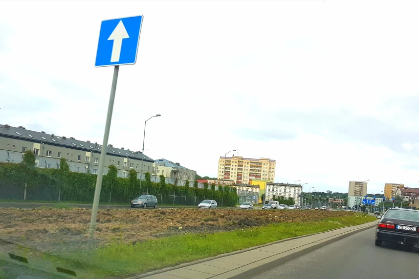 W Szczecinie powstaje łąka kwietna