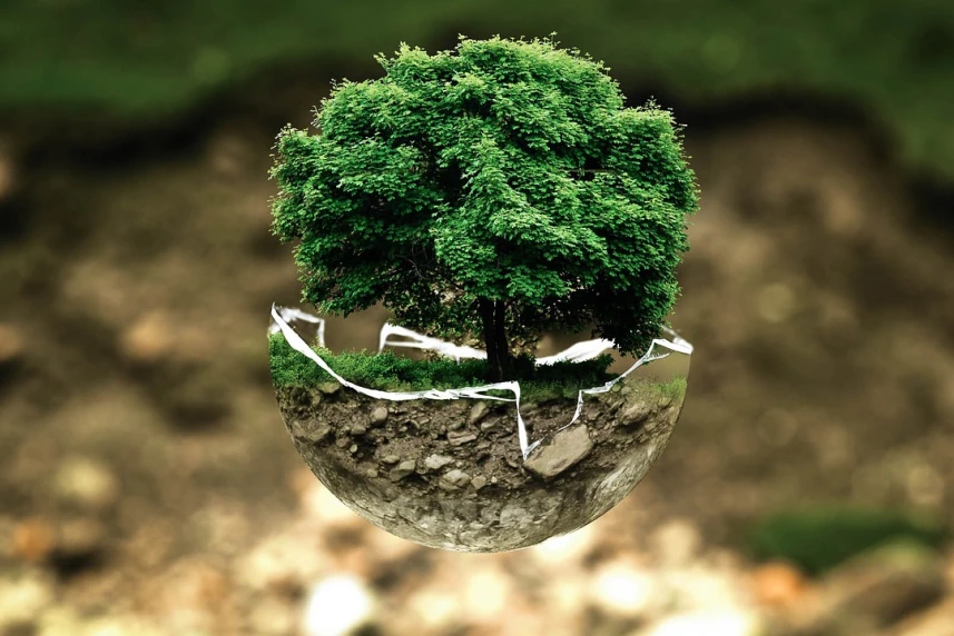 Sprzątanie świata z EcoGeneratorem - Razem damy moc odpadom