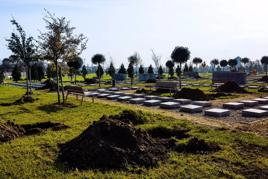 Tysiące nowych roślin na cmentarzu. Rozpoczęły się nasadzenia Tysiące nowych roślin na cmentarzu. Rozpoczęły się nasadzenia