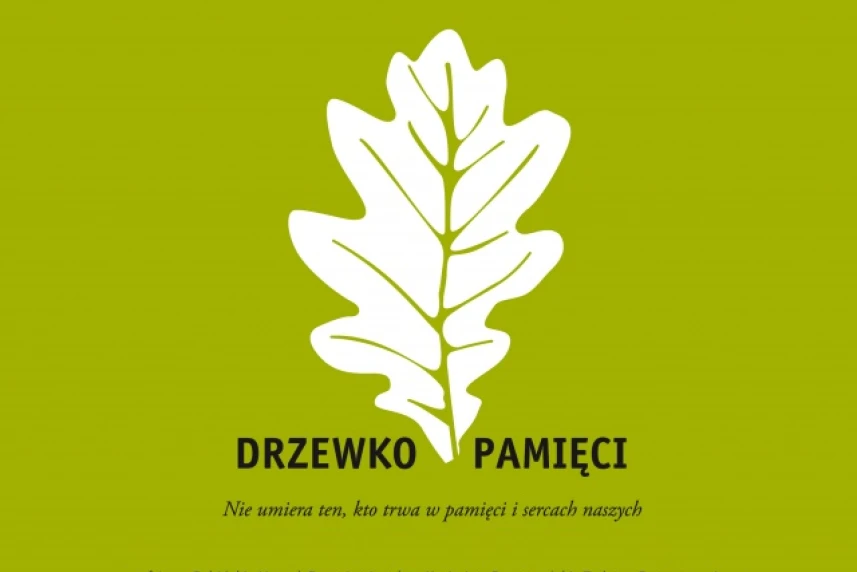 Wszystkich Świętych 2017 w Szczecinie Wszystkich Świętych 2017 w Szczecinie