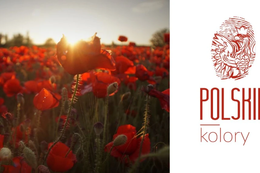 "Polskie kolory". Zaproszenie na warsztaty