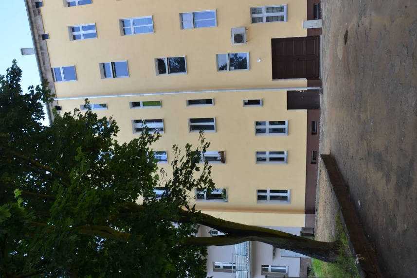 Poprawiają jakość powietrza