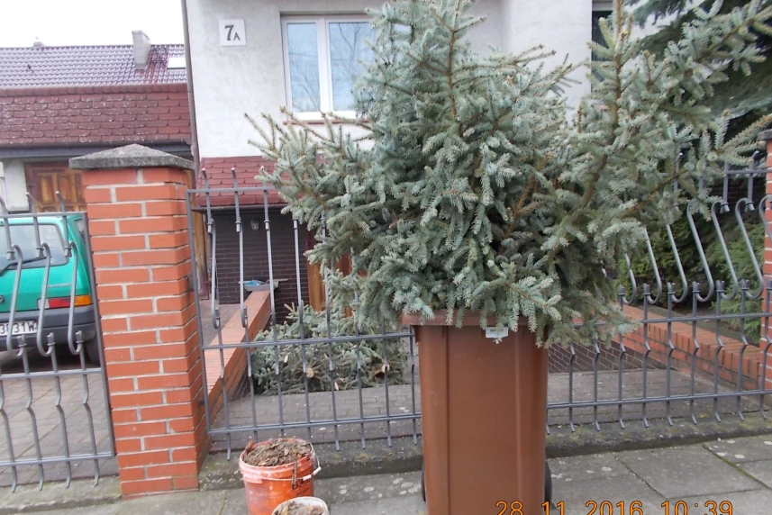 Odbiór odpadów zielonych również zimą