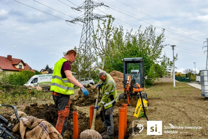 Zieleń miejska wymaga staranności – nie tylko w doborze roślin, ale przede wszystkim w przygotowaniu miejsca jej nasadzenia. Zieleń miejska wymaga staranności – nie tylko w doborze roślin, ale przede wszystkim w przygotowaniu miejsca jej nasadzenia.