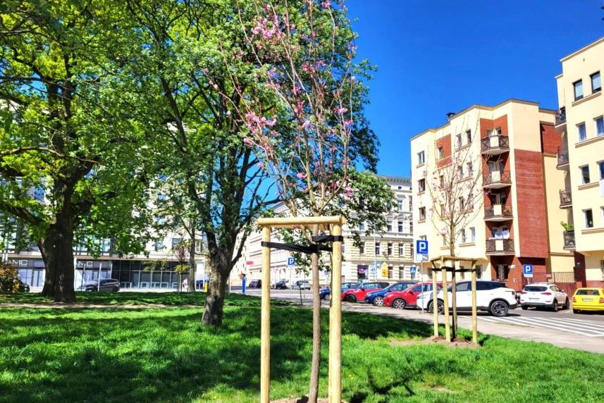 Czy Szczecin dalej będzie "zielonym miastem"? Czy Szczecin dalej będzie "zielonym miastem"?